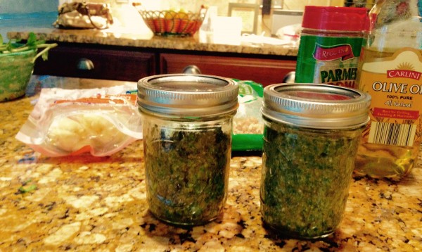 Pesto keeps very well in canning jars when topped with some olive oil to preserve that fresh flavor. 