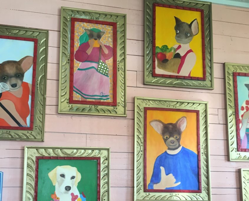 Paintings in the Chihuahua Bar